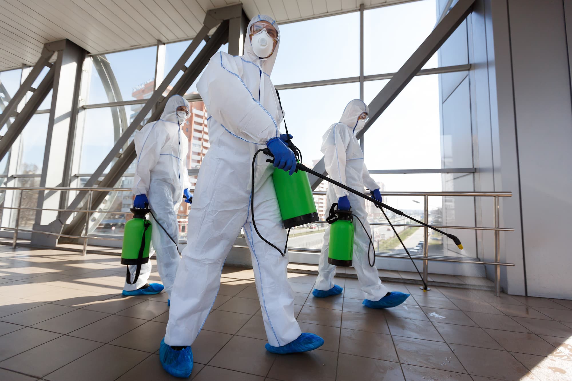 Traitement par pulvérisation et fumigation des punaises de lit et puces vers Strasbourg et Ostwald Erstein