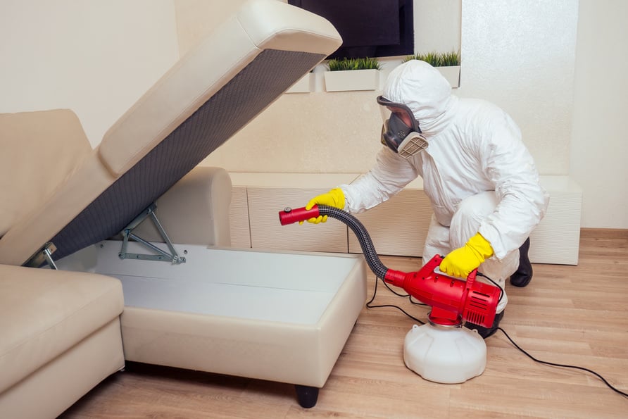 Pest Control Worker in Uniform Spraying Pesticides under Couch in Living Lounge Room