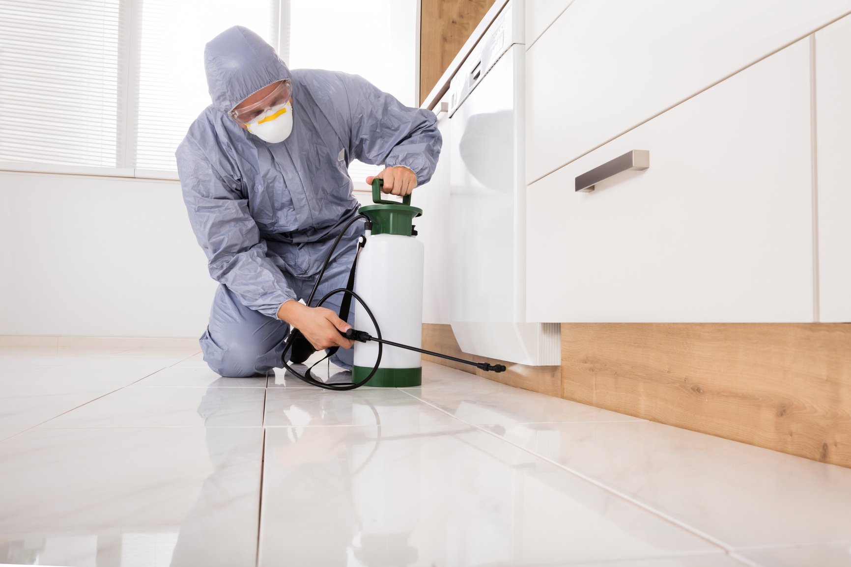 Exterminator Spraying Pesticide In Kitchen